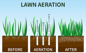 Diagram Of The Benefits Of Lawn Aeration In Tennessee