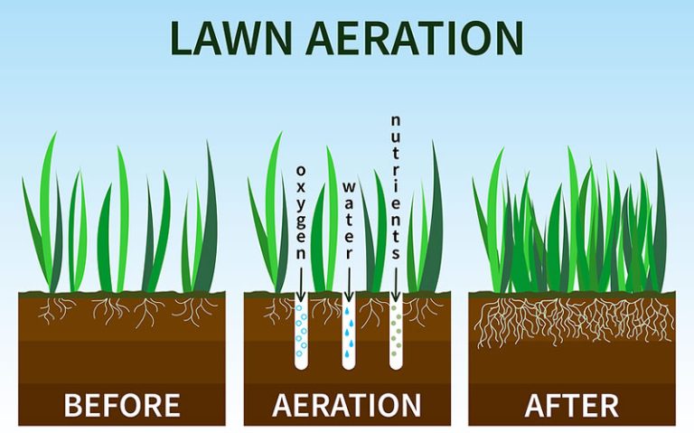 Does my lawn need aerating?