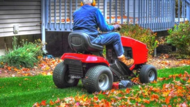 Don’t Rake Those Leaves, Mulch Them Into Your Lawn