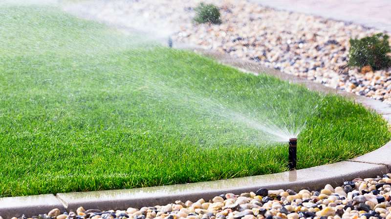 Your Guide To Watering The Lawn